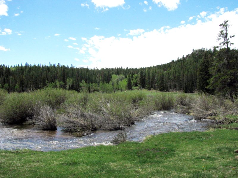 Property photo 20 - Get Lost in the Pristine Northern Colorado Rockies - Prime Building Sites